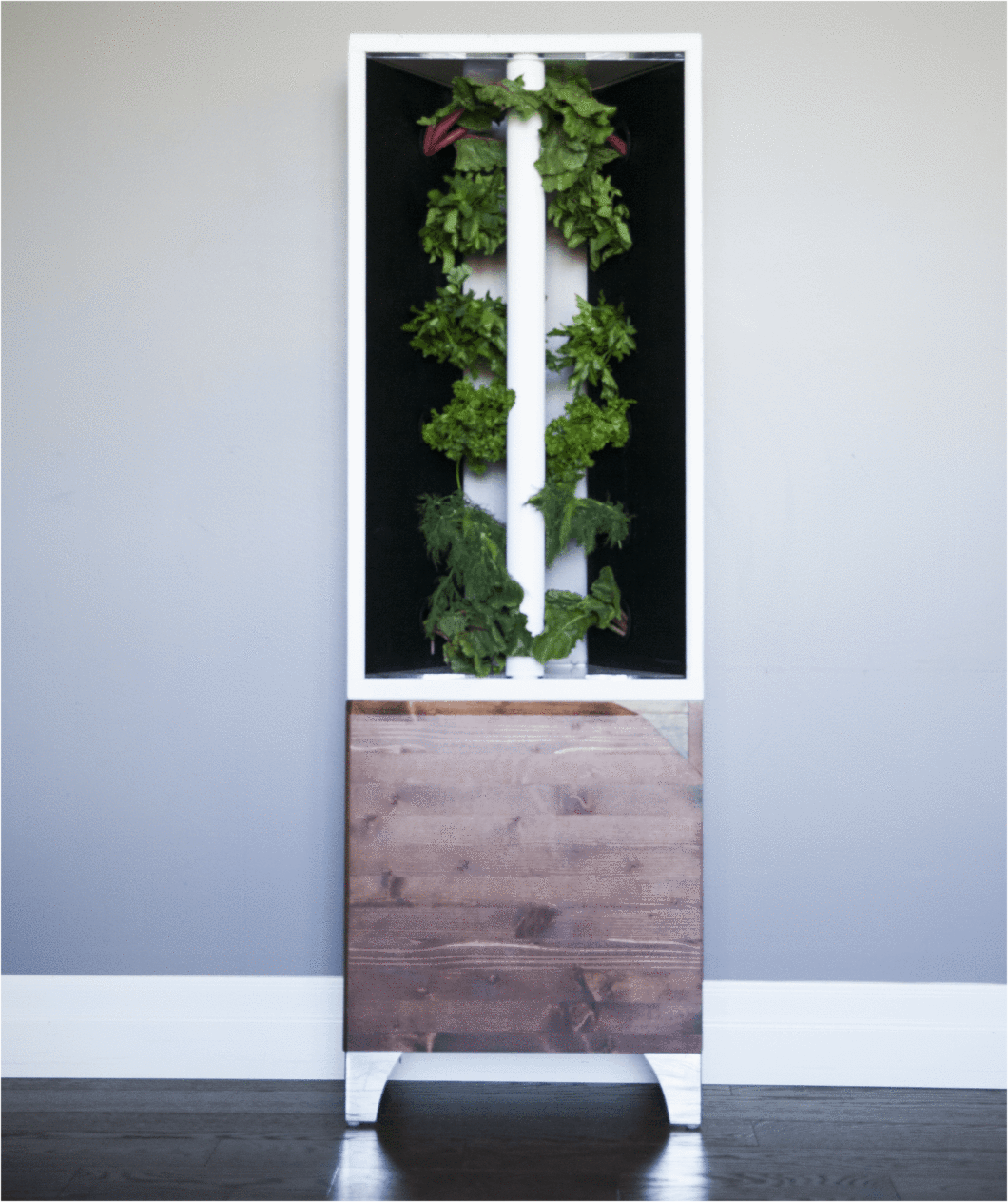 Just Vertical The Eve: Your Compact Indoor Hydroponic Garden Oasis