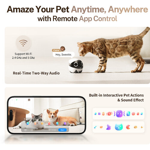 ROLA Mini: Your Pet's Ultimate Companion Robot