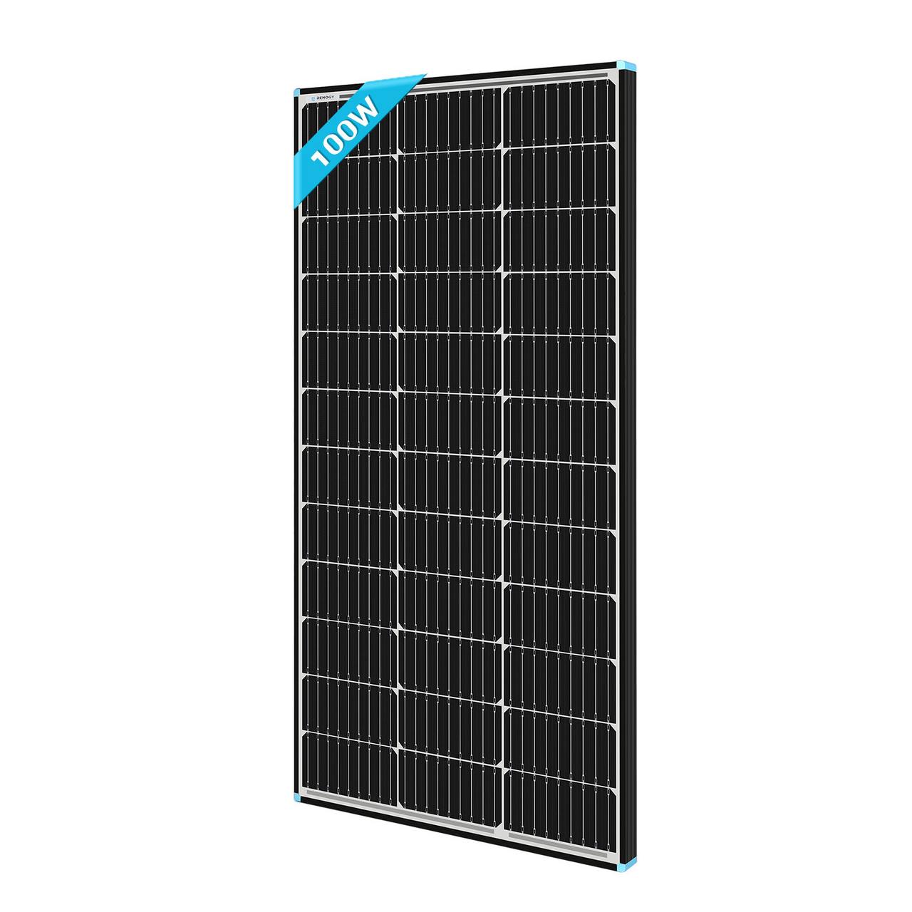 Renogy12100