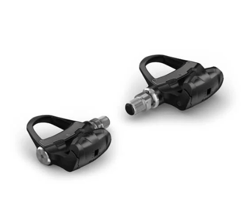Garmin Rally RS100
