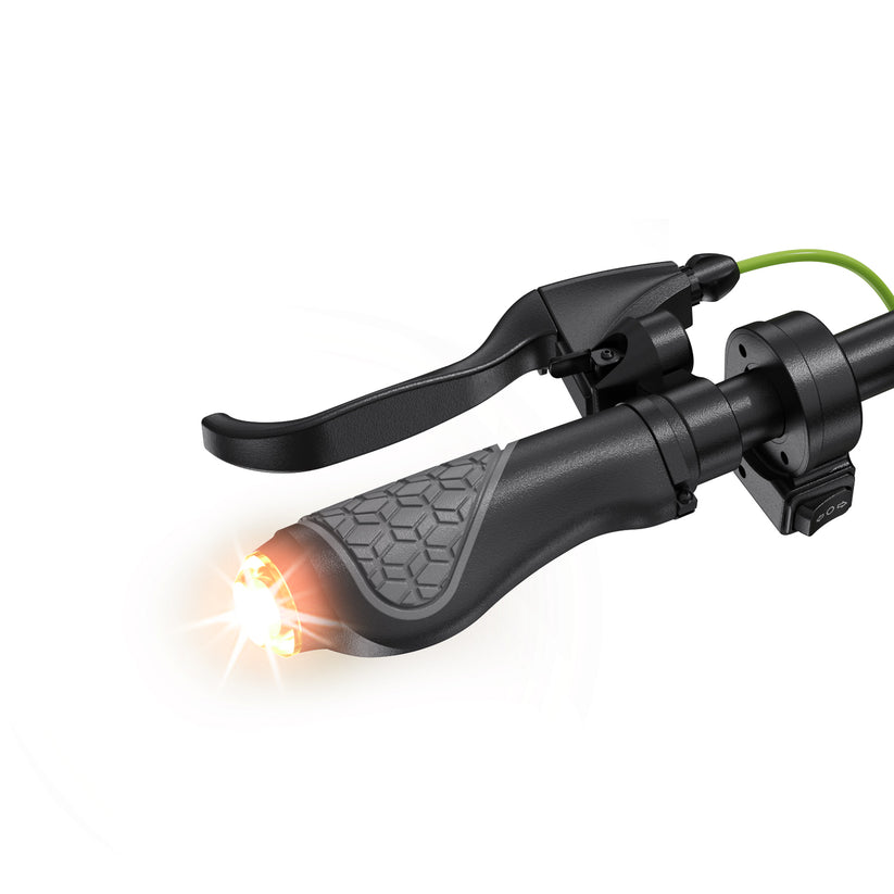 isinwheel S10 Plus 750W High-Performance Electric Scooter