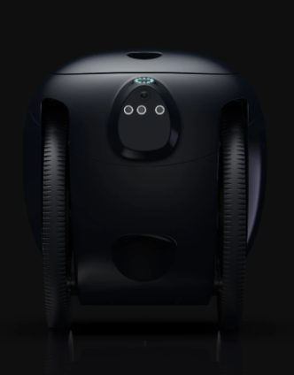 Piaggio Fast Forward - Gitamini: The Ultimate Cargo-Carrying Following Robot