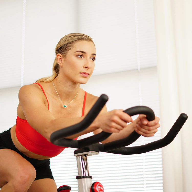Sunny Health & Fitness Premium Indoor Cycle Bike - SF-B1509