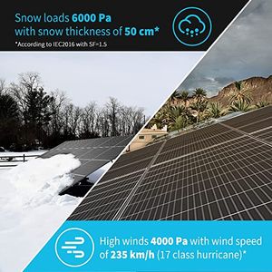 Renogy 320W High - Efficiency Solar Panel Pack (10 pcs) - Power Your World
