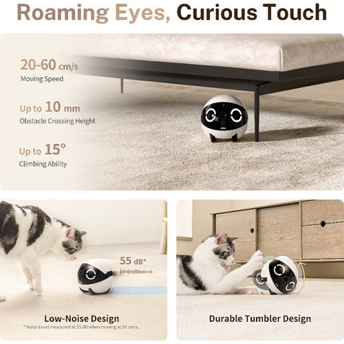 ROLA Mini: Your Pet's Ultimate Companion Robot