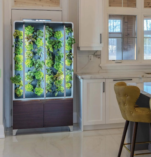 Eco-Friendly Vertical Green Wall for Year-Round Fresh Produce