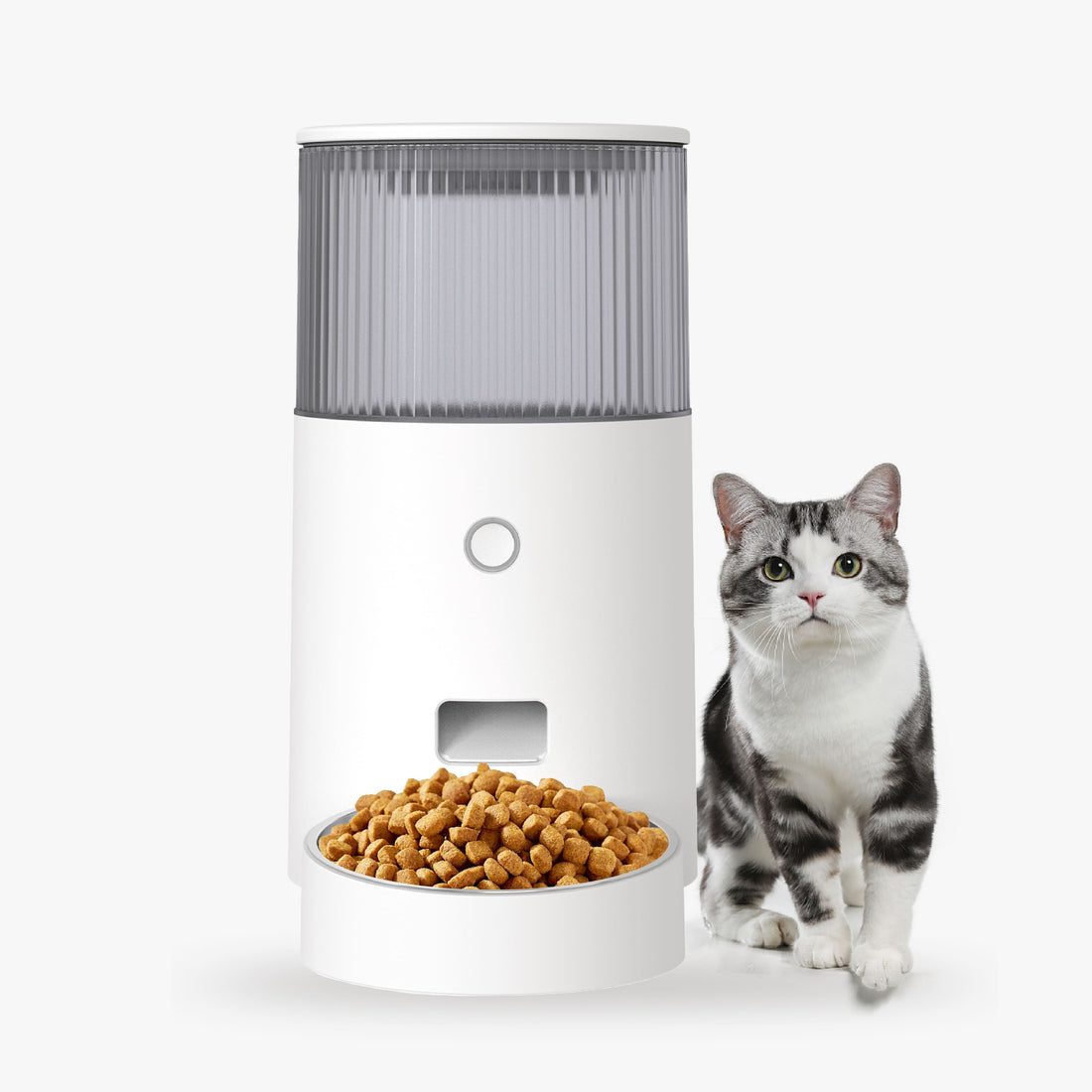 Petmarvel Mini Smart Pet Feeder - Your Pet's Meal Planner