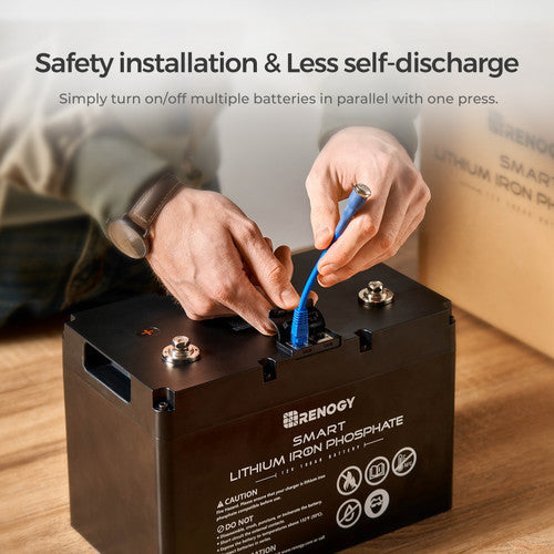 Renogy 12V 100Ah Smart Lithium Iron Phosphate Battery - Your Off-Grid Powerhouse