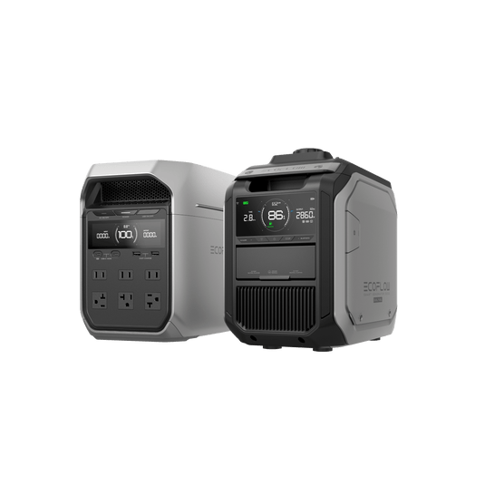 EcoFlow 3000: