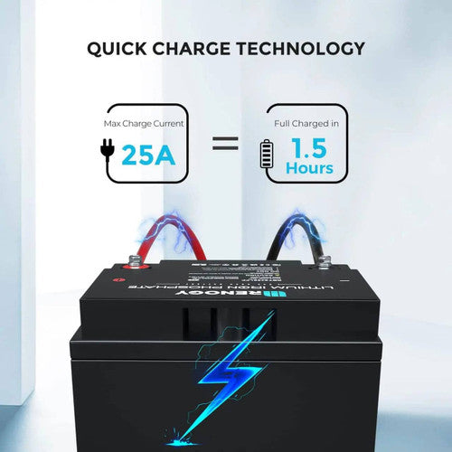 Renogy Lithium Iron Phosphate Battery - 24V 25Ah Powerhouse