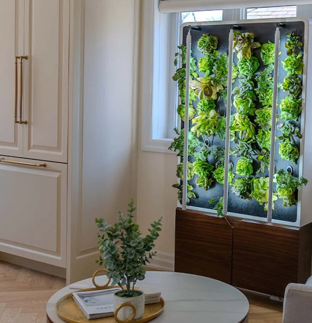 Eco-Friendly Vertical Green Wall for Year-Round Fresh Produce
