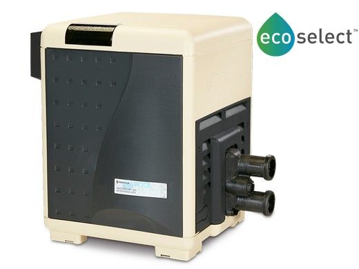 Pentair MasterTemp Low NOx - 250000 BTU