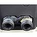 Pentair MasterTemp 125 Low NOx