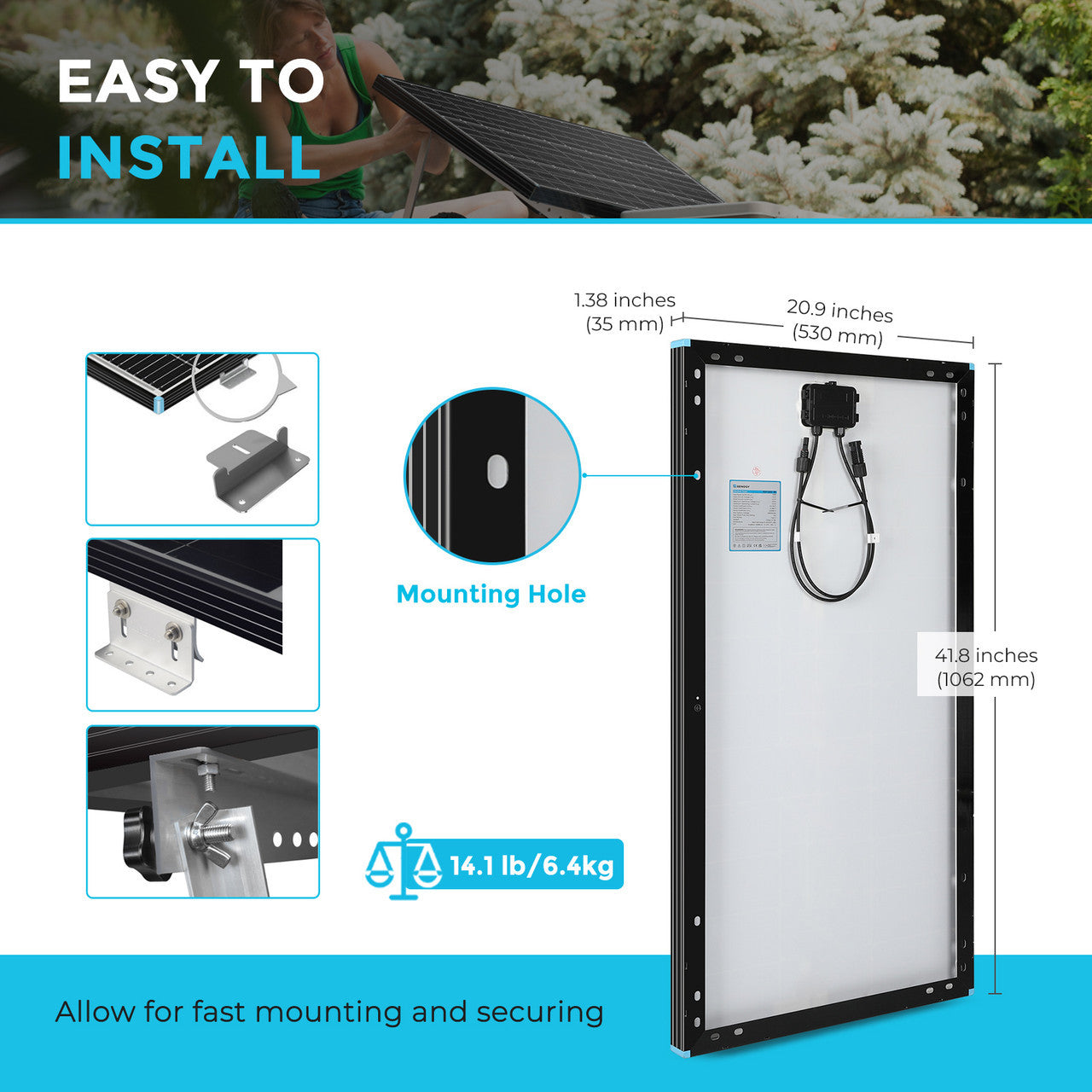 Renogy12100