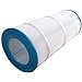 Waterway Crystal Clear 150 Cartridge Filter