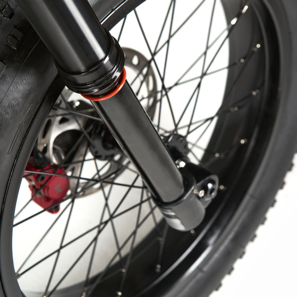 Ridel R1 Extreme Off-Road Electric Bike