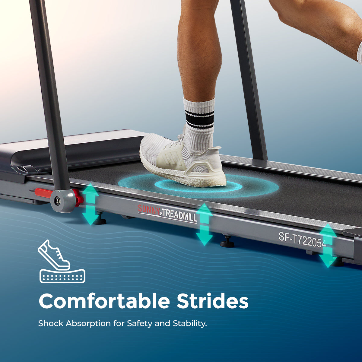 Sunny Health & Fitness Pegasus