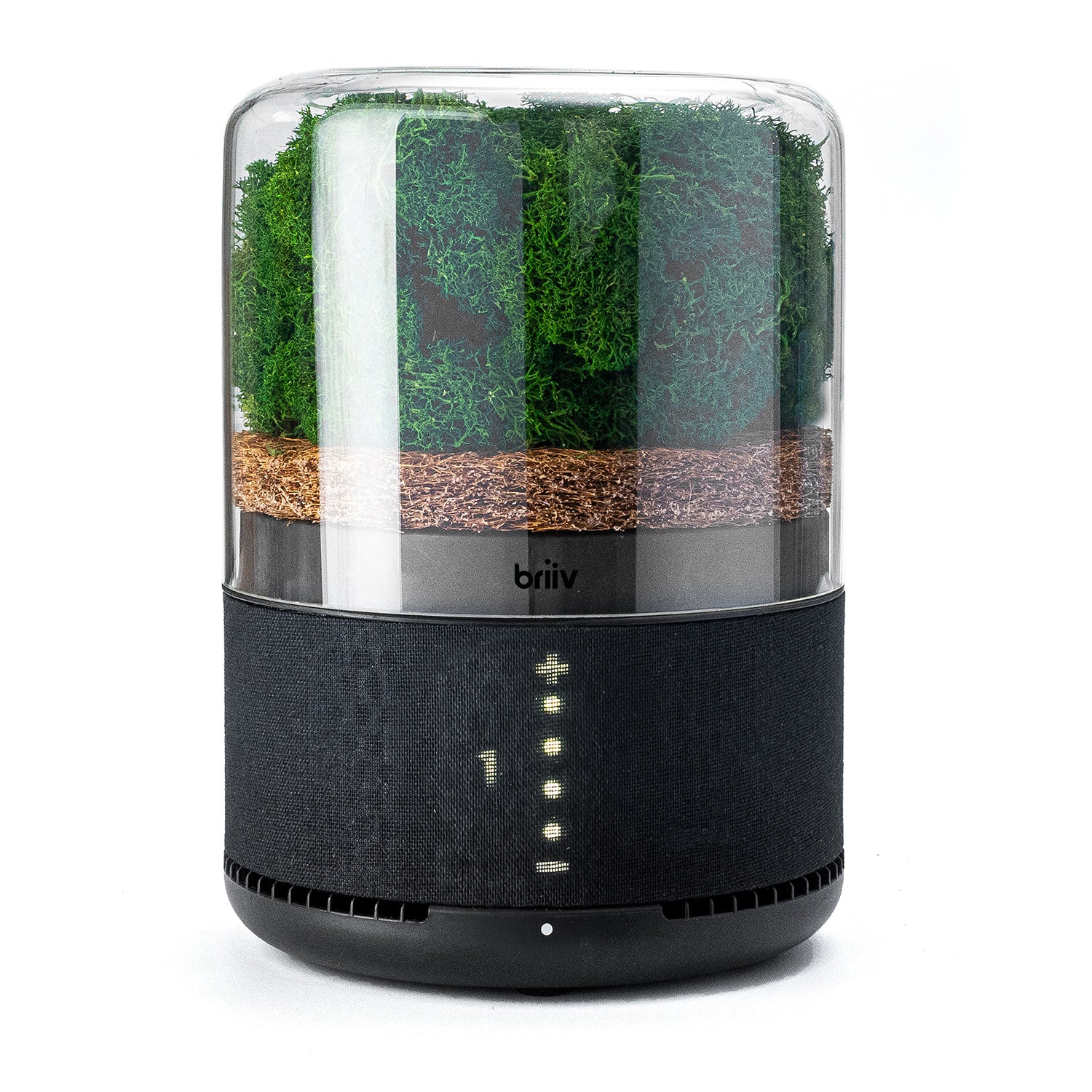 Innovative Briiv Air Filter: Natural, Sustainable, and Effective