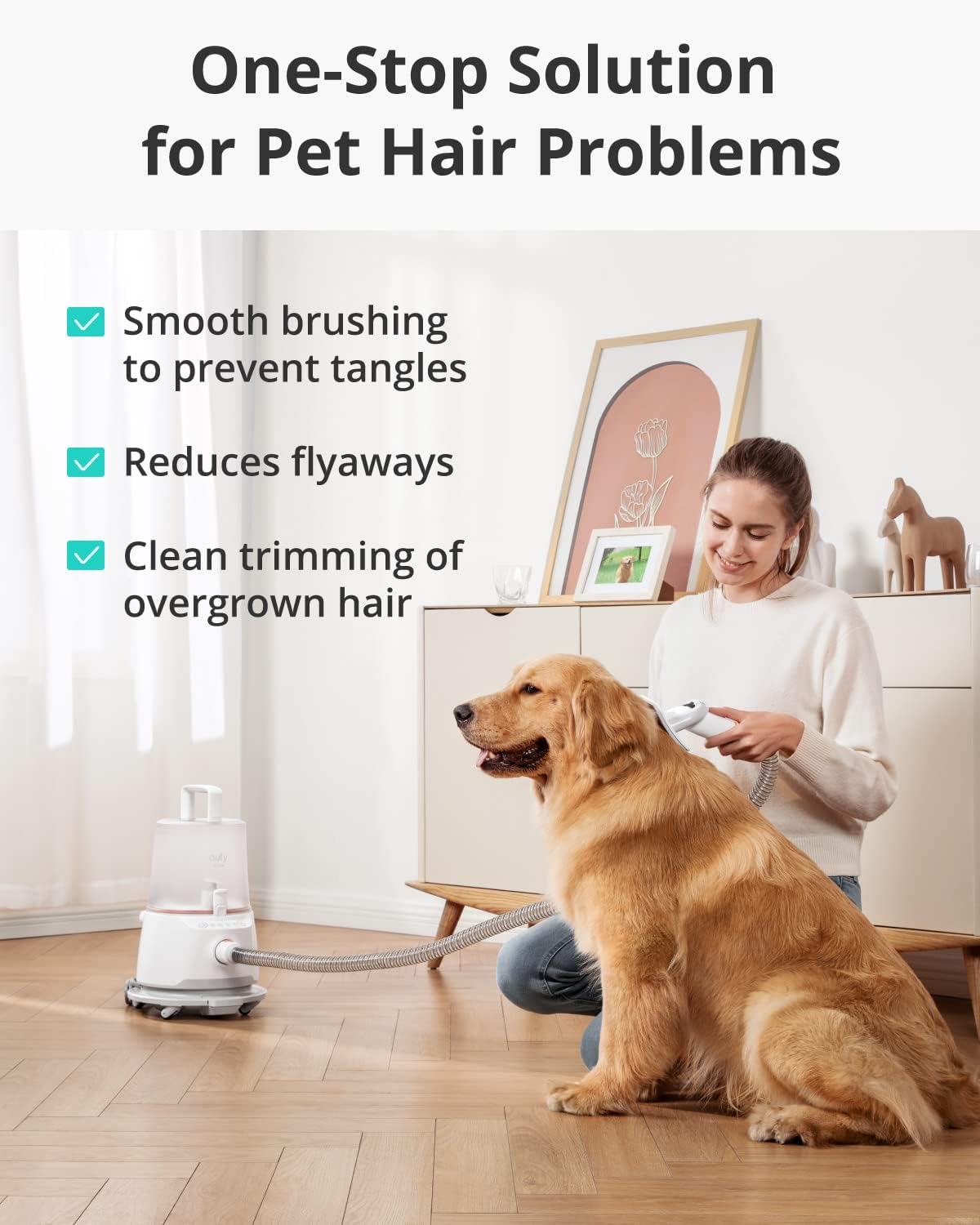 Eufy N930 Pet Pampering Pro Vacuum