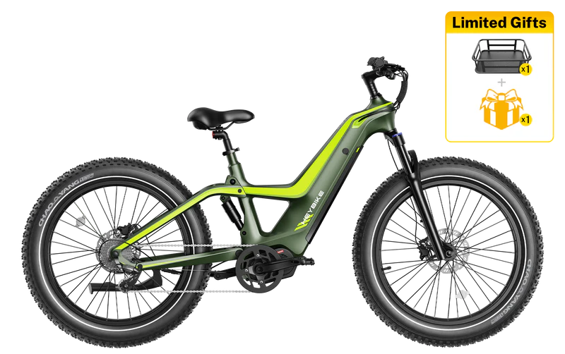 Heybike Hero: The Ultimate Electric All-Terrain Beast
