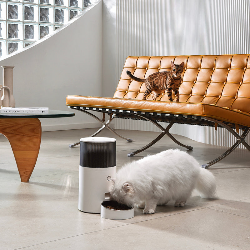 Petmarvel Mini Smart Pet Feeder - Your Pet's Meal Planner