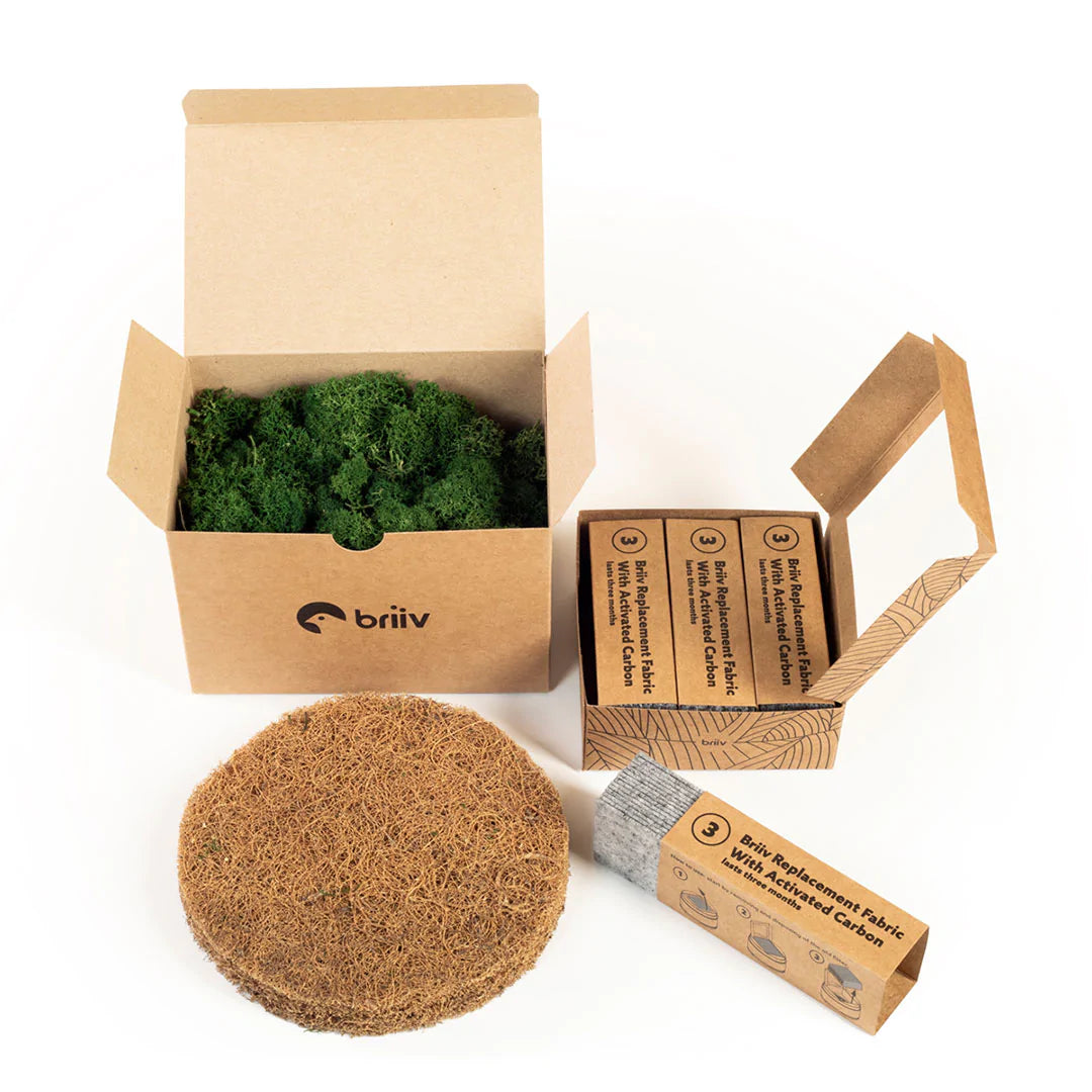 Innovative Briiv Air Filter: Natural, Sustainable, and Effective