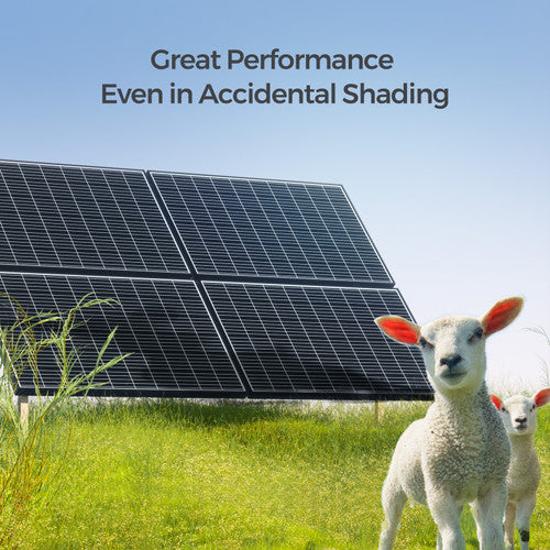 Renogy 320W High - Efficiency Rigid Solar Panel Kit (4 PCS)