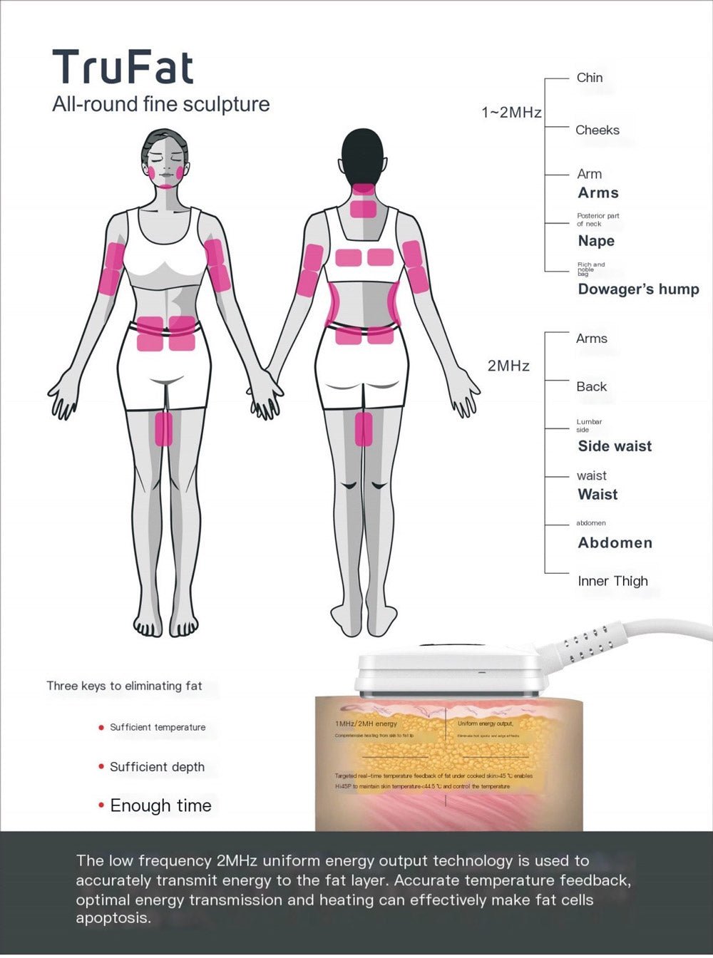 Revitalize Your Body with Shape Tactics Smart RF Body Sculpting Device