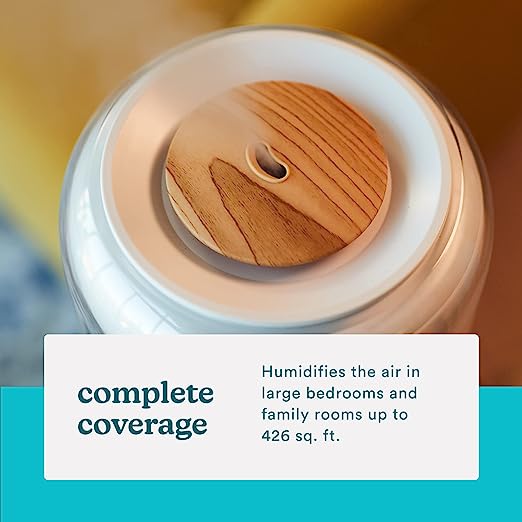 Homedics TotalComfort Deluxe Ultrasonic Humidifier - Large Room Soother