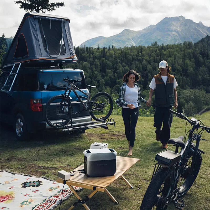 EcoFlow DELTA 3 - Your Ultimate Portable Power Solution
