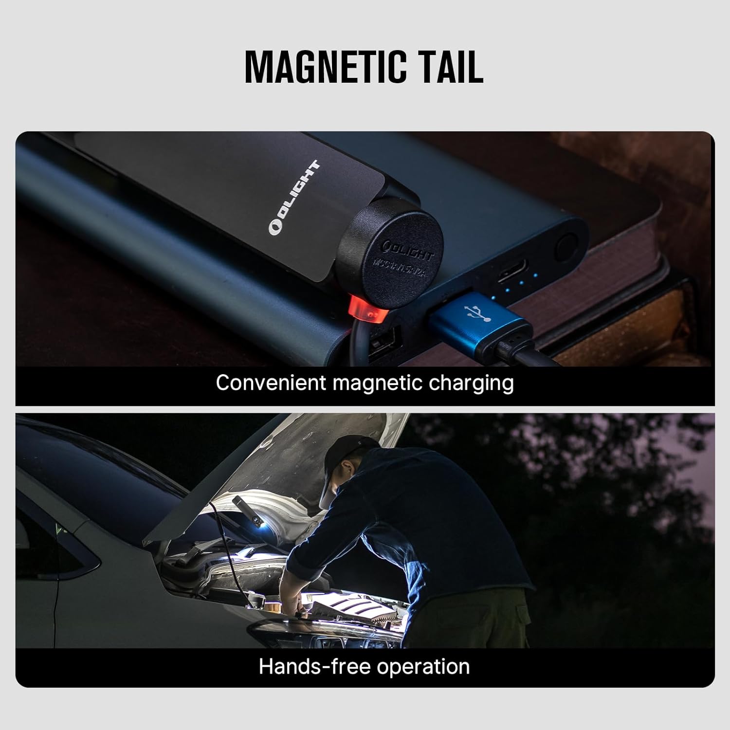 Olight Arkfeld Pro Paw Edition - Your Ultimate Lighting Companion