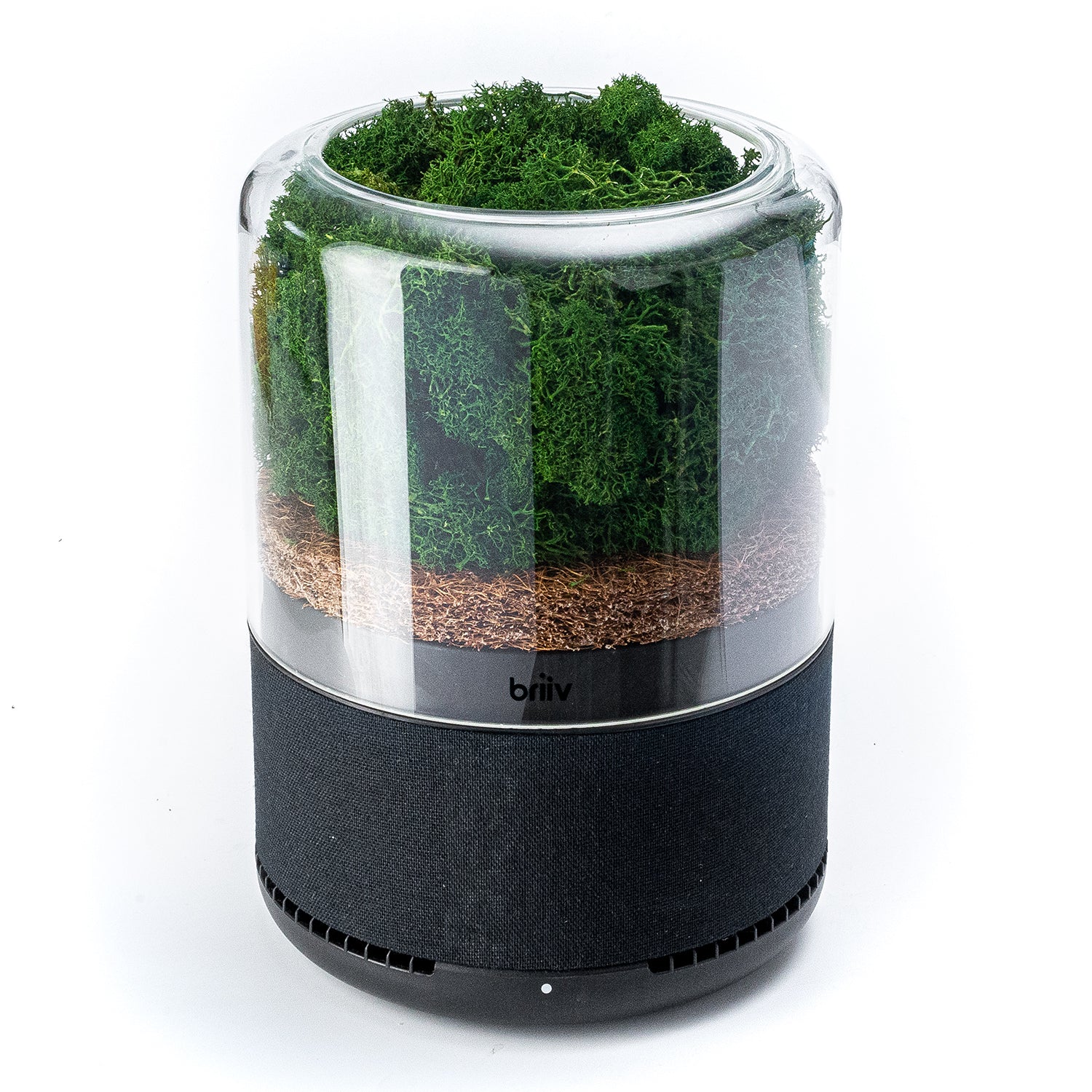 Innovative Briiv Air Filter: Natural, Sustainable, and Effective