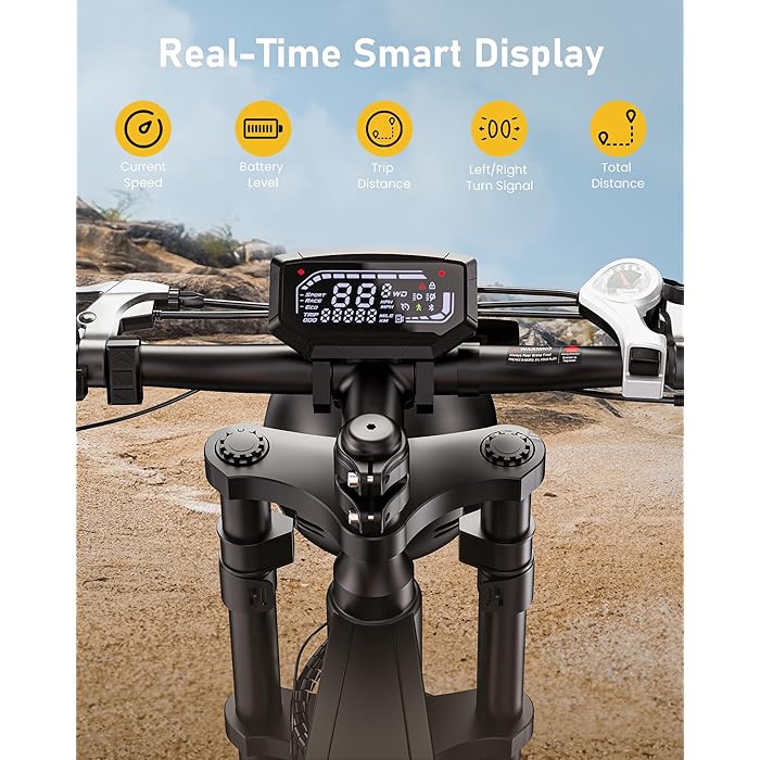 Isinwheel R6 Adult Retro Electric Bike - Your Ultimate Riding Companion