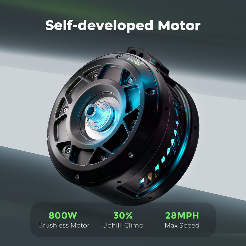 isinwheel GT1 800W High-Performance Off Road Electric Scooter