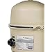 Pentair Quad DE High Flow Filter - Keep Your Pool Crystal Clear!