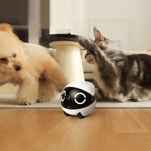 ROLA Mini: Your Pet's Ultimate Companion Robot