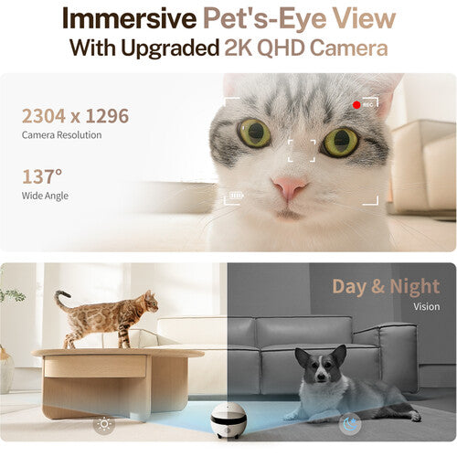 ROLA Mini: Your Pet's Ultimate Companion Robot