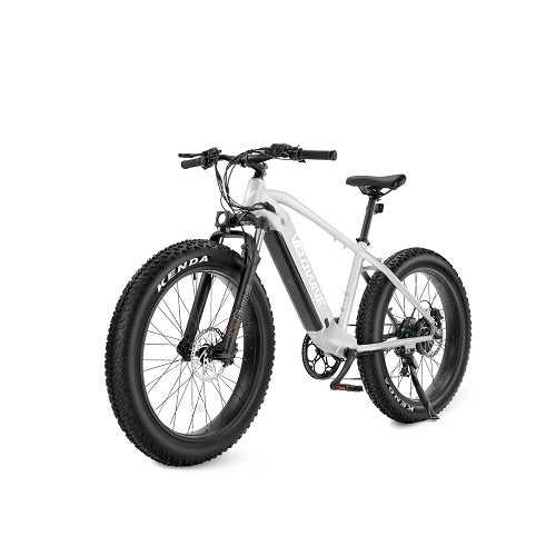 VELOWAVE RANGER - The Ultimate Fat Tire E-Bike for Off-Road Adventures