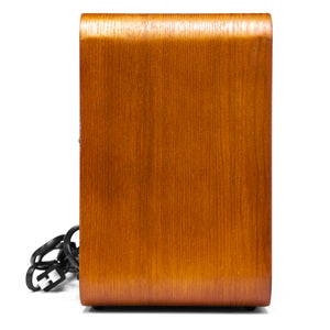 Fuse Rad-V1: Vintage Bluetooth Speaker with FM Radio - Your Retro Music Companion