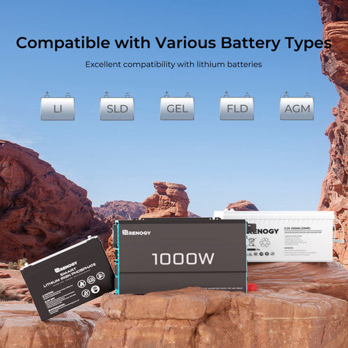 Renogy 1000W High-Performance Pure Sine Wave Inverter for 120Vac Power