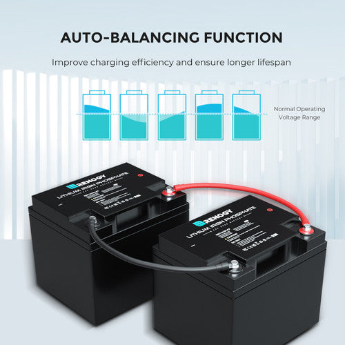 Renogy Lithium Iron Phosphate Battery - 24V 25Ah Powerhouse