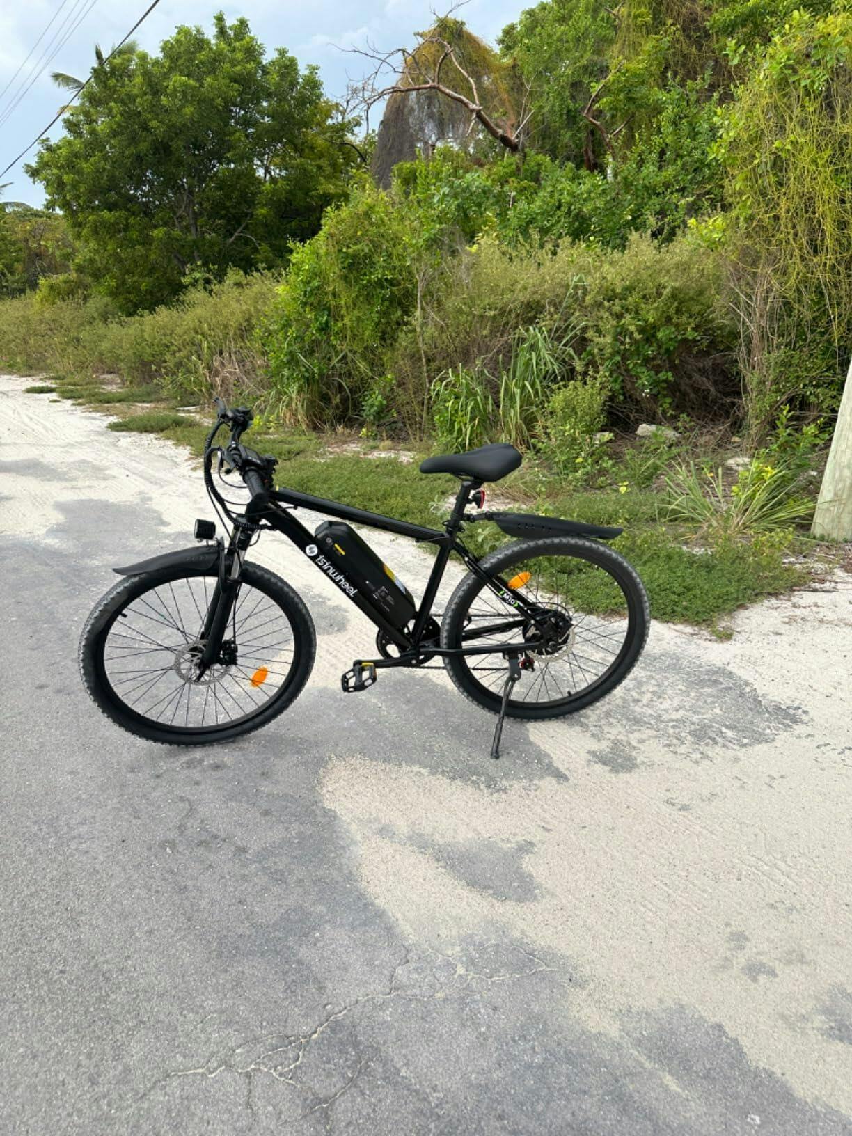 Isinwheel M10 Plus: The Thrilling Adult Electric Mountain Bike