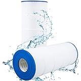 Crystal Clear Pool Filter for Waterway Proclean 125 & 150 (2006 and prior)