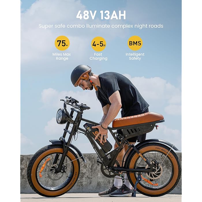 Isinwheel R6 Adult Retro Electric Bike - Your Ultimate Riding Companion