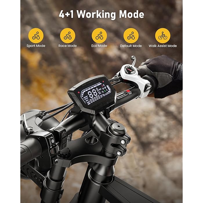 Isinwheel R6 Adult Retro Electric Bike - Your Ultimate Riding Companion