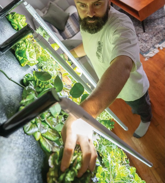 Eco-Friendly Vertical Green Wall for Year-Round Fresh Produce