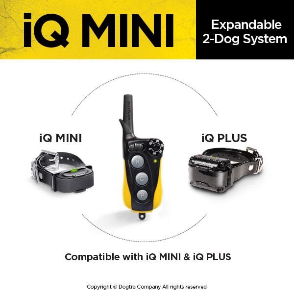DOGTRA IQ-MINI - The Ultimate Dog Training Collar