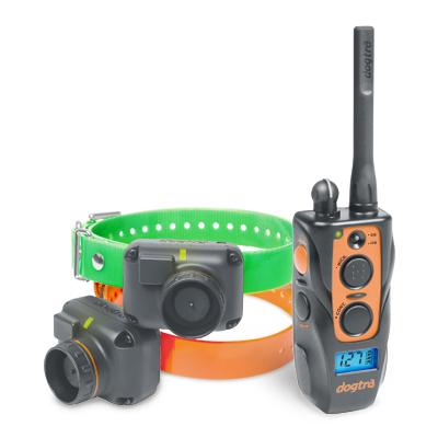 DOGTRA 2702T&B Hunting-Ready Training & Beeper Collar