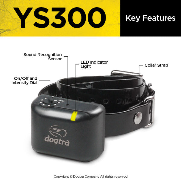 Dogtra No Bark Collar for Small to Medium Dogs