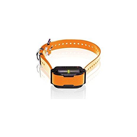 Expand Your Dogtra Edge RT System with an Extra Collar